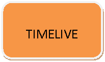 Rounded Rectangle: TIMELIVE

